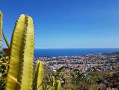 Blick auf Santa Cruz de Tenerife