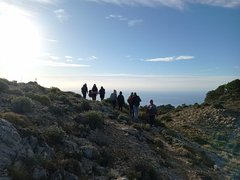 Málaga
