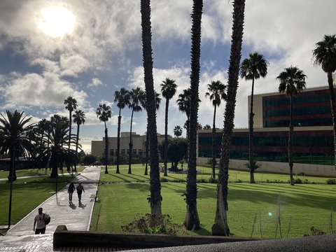 Der Campus bei Sonnenschein. Man sieht ein paar Studierende und viele Palmen
